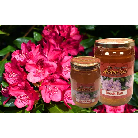 ANDON BAL DELİ BAL (KOMAR BALI)  970 GR